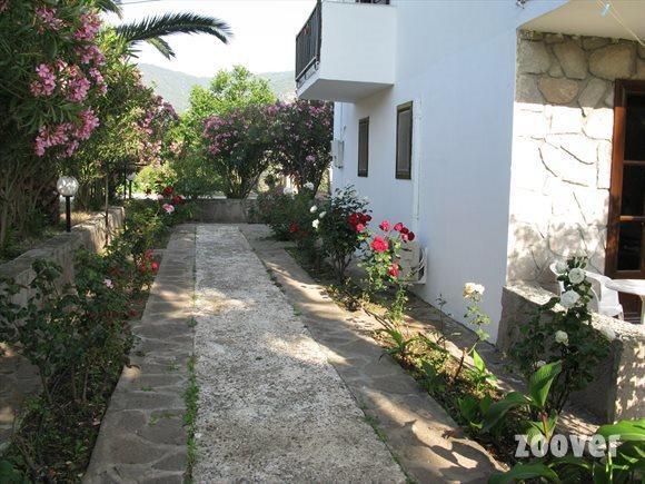Islands Apartments Petra  Luaran gambar