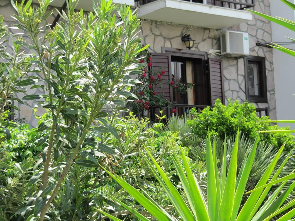 Islands Apartments Petra  Luaran gambar