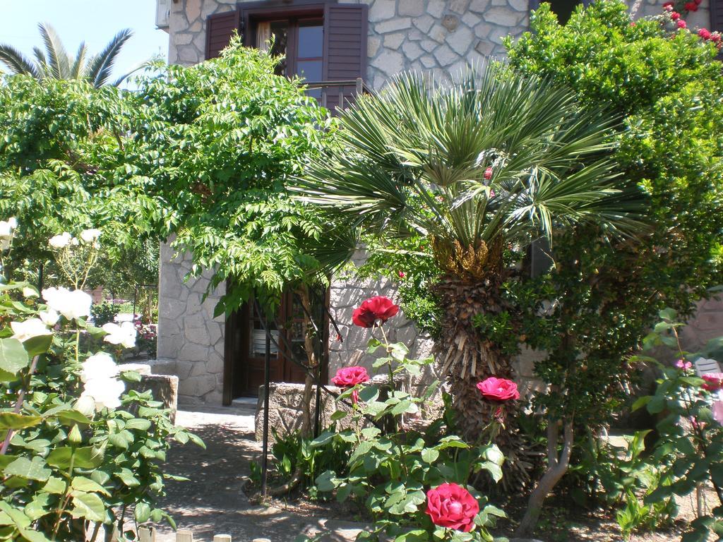 Islands Apartments Petra  Luaran gambar